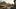 Does Arizona Have Constitutional Carry Laws? Understanding Your Rights and Responsibilities