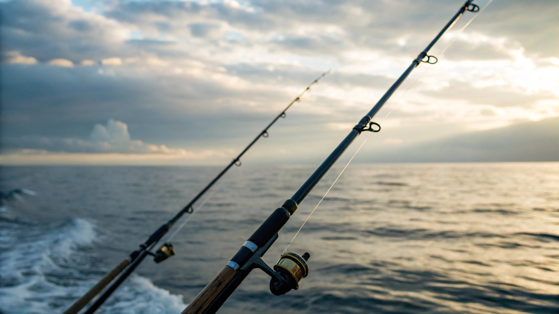 How Much Are Deep Sea Fishing Rods? Price & Buying Guide - Battlbox.com