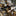 Condor El Salvador Fixed Blade_42572737282243-4