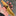 Dedfish Co. McCrea Fixed Blade Knife_44036794515651-6