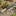 ESEE Libertariat machete, tropical survival machete, 1095 carbon steel chopper, Micarta handle machete, bushcraft trail clearing blade, USA made survival machete_42941761847491-7