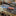 Fox Edge Framelock/Wooden Handle FE-044_42503738589379-4
