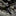 Condor Sip Knife Fixed Blade - Grande Edition_44357389091011-6