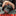 RAPID ROPE MINI_42897600020675-6