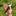 RAZORBACK Signature Folding Knife, 9 Interchangeable Blades_42404274536643-14