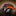 BattlBox Limited Edition: Ketchikan By Russ Kommer_43896586895555-9