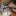 TOPS Hammer Hawk w TOPS Backup_42516655702211-8