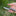 MINI SCANDI KNIFE BLACK LINEN MICARTA_32208061890632-3