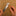 DedFish Co. Wenge Alpine Foldable Chef Knife_41928615133379-13
