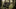 Are Assault Rifles Used for Hunting? Exploring the Use of AR-15s in the Field