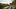 Can a Non-Resident Open Carry in Texas? Understanding Gun Laws and Regulations