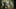 Can You Bow Hunt Bear? A Comprehensive Guide to Successful Bear Bow Hunting