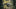 Can You Hunt with a Sniper Rifle?
