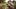 Can You Open Carry a BB Gun? Understanding the Legal Landscape