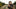 Can You Open Carry in Indiana? An In-Depth Exploration of the Laws and Practices