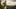 Can You Open Carry in Kentucky State Parks?