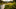 Choosing the Right Fly Fishing Rod: What Fly Fishing Rod to Buy