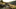 Do Open Carry Laws Apply to Rifles? Understanding the Legal Landscape