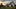 How Many Solar Panels for Off-Grid House: Your Comprehensive Guide
