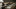 How Much is a Deer Hunting Rifle: A Comprehensive Guide to Pricing and Options