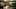 Is a 7mm a Good Hunting Rifle?