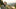 Is North Dakota an Open Carry State? Understanding the Legal Landscape