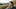 Is West Virginia an Open Carry State? Understanding the Firearm Laws