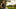 Understanding the South Carolina Open Carry Law: What You Need to Know