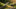 What Happens If a Grass Snake Bites You: An In-Depth Analysis