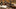 What is a Good All-Around Hunting Rifle?