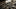 What is a Good Long Range Hunting Rifle: A Comprehensive Guide