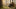 What is Needed for Turkey Hunting: Your Comprehensive Guide