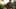 What States Honor South Carolina Concealed Carry Permit