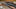 What Type of Rifle is Used to Hunt Deer: A Comprehensive Guide