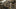 When is Bow Hunting Season in Indiana? A Comprehensive Guide