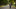 Where Can You Open Carry in Florida: Understanding the Laws and Regulations