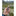 WildBatch Single Capsule held up on an alpine ridgeline, backpacking hygiene kit for ultralight travel_54074606354627-4