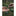 WildBatch cleansing powder sprinkled into a palm from the bamboo capsule, trailside wash routine_54074606354627-5