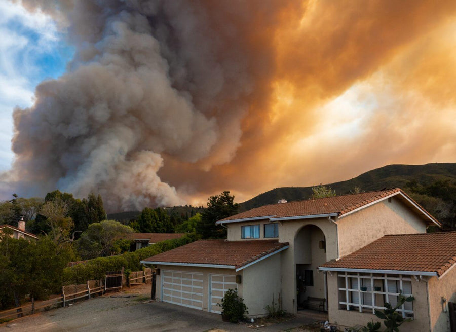 Wildfire