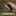 CIVIVI Sixgill Thumb Stud & Crossbar Lock Pocket Knife_44487438729411-4