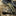 Fox Knives FX-599 Folding Karambit_42516621263043-66