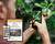 37% OFF Annual Online Classes Membership Nature Reliance School