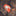 SOL Scout Survival Kit_44497715364035-3