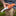Fox Air Rescue Folder Orange_54094857339075-7