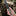 Fox Knives FX-556 Metamorphosis Radius Lock Folding Knife_43345810063555-6