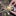 Tactica M.020 Camping Tool_44853620474051-3
