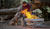 25% Off Fireside Outdoor